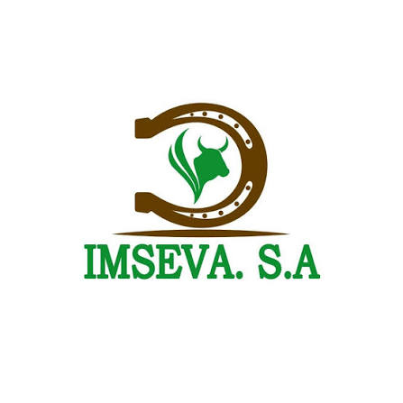 IMSEVA S.A.